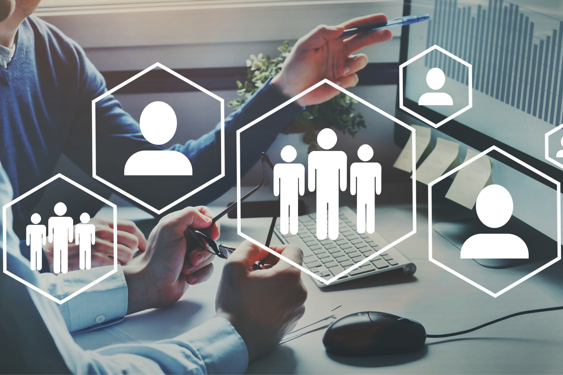 Training & Consulting